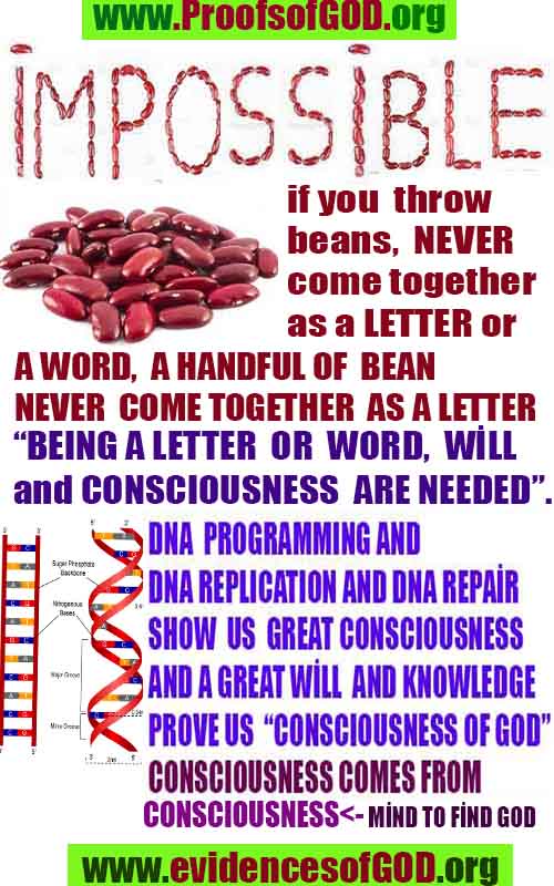 proofs of god, evidences of god, signs of god