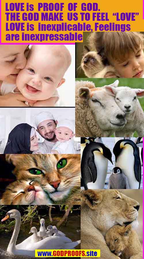  proofs of god, evidences of god, god exists