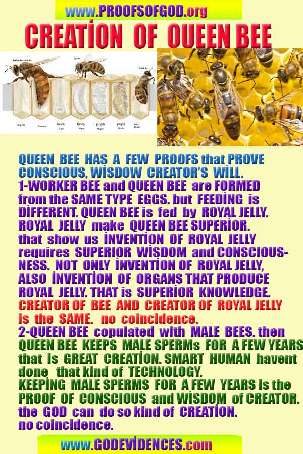 proofs of god, evidences of god, god exists