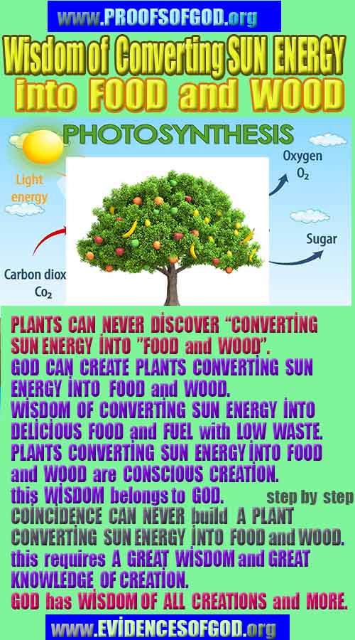 proofs of god, evidences of god, signs of god