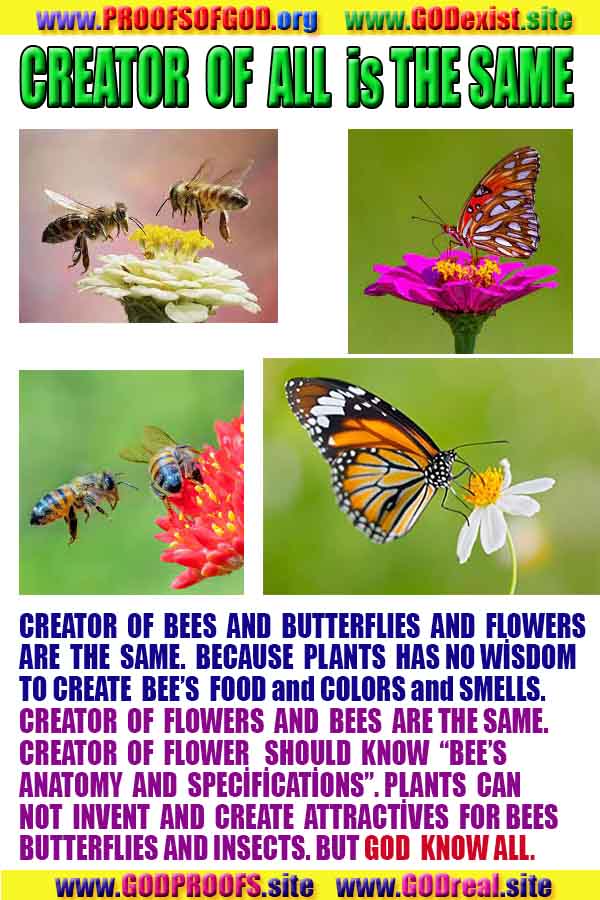  proofs of god, evidences of god, god exists