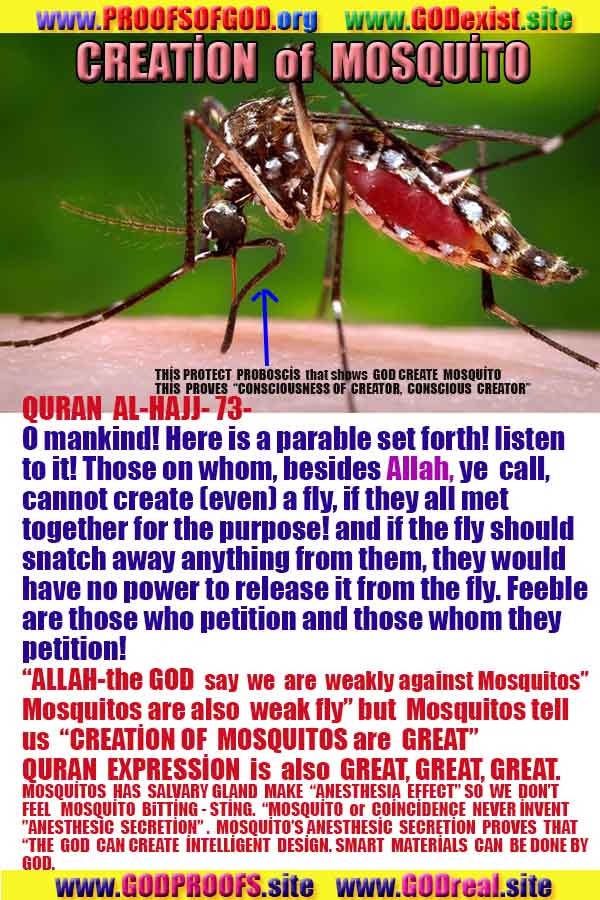 proofs of god, evidences of god, signs of god