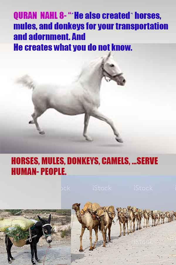  proofs of god, evidences of god, god exists