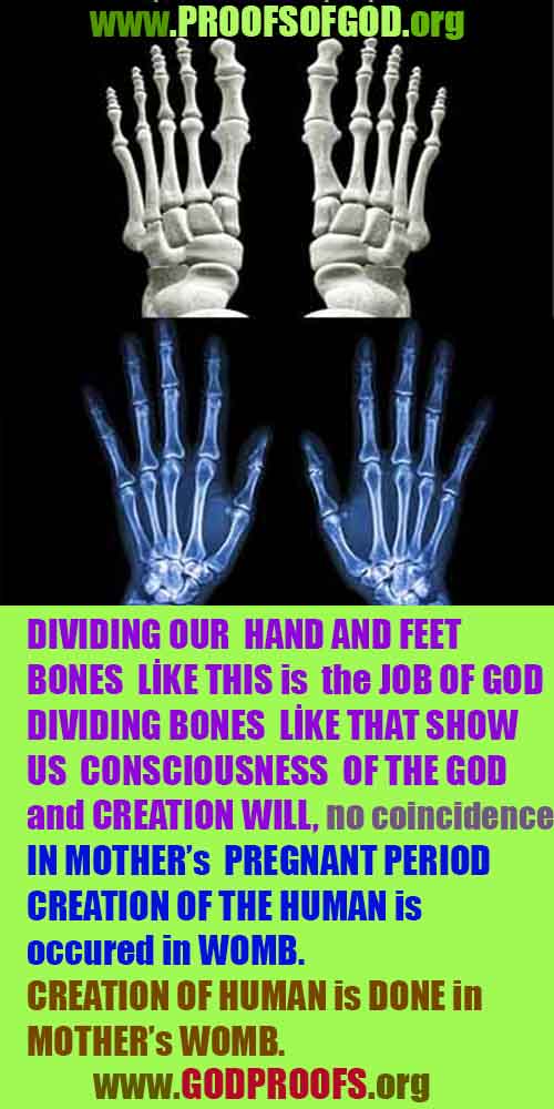 proofs of god, evidences of god, signs of god